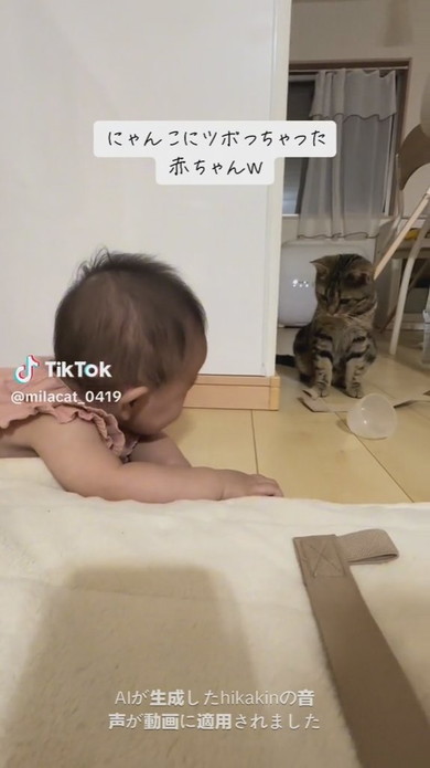 猫ちゃんを見て大笑いをする赤ちゃん