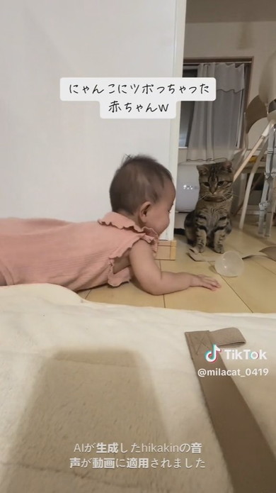 猫ちゃんを見て大笑いをする赤ちゃん