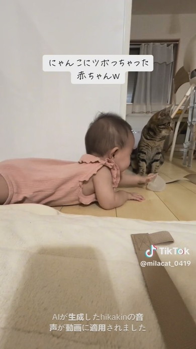 猫ちゃんを見て大笑いをする赤ちゃん