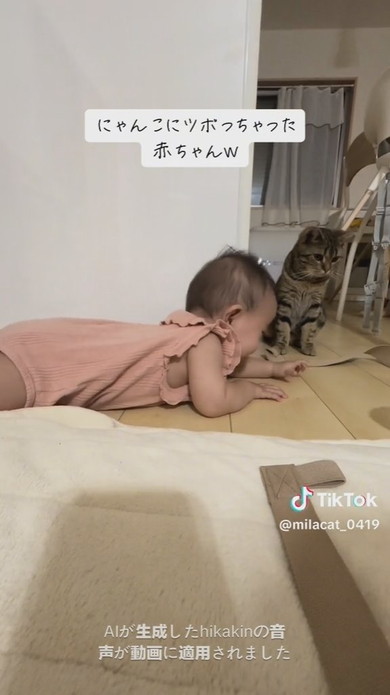 猫ちゃんを見て大笑いをする赤ちゃん