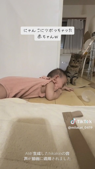 猫ちゃんを見て大笑いをする赤ちゃん
