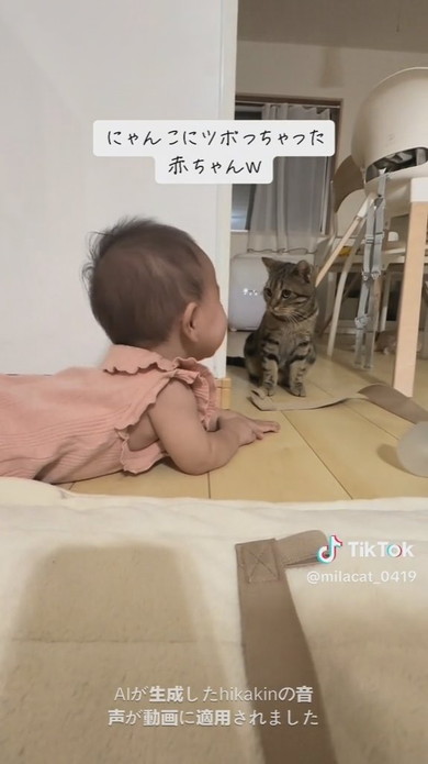 猫ちゃんを見て大笑いをする赤ちゃん