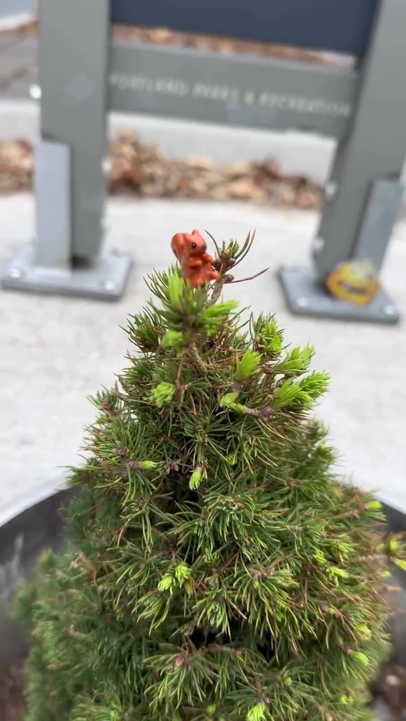 世界一小さな公園を見に行った国際夫婦