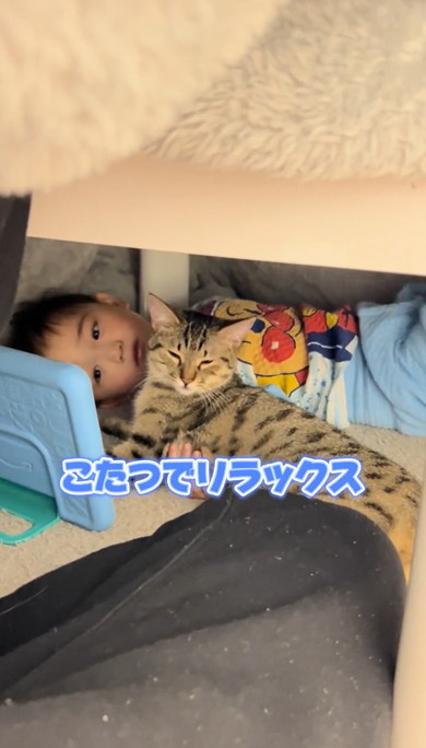 3歳息子から離れない猫