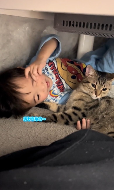 3歳息子から離れない猫