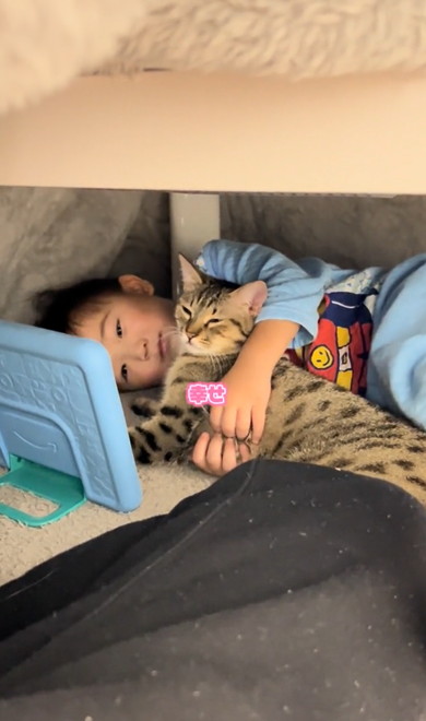 3歳息子から離れない猫