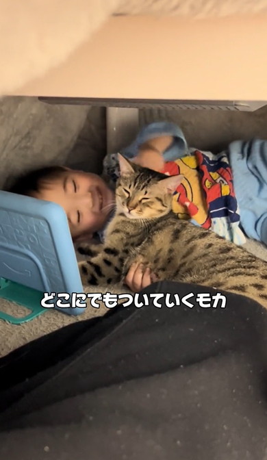 3歳息子から離れない猫