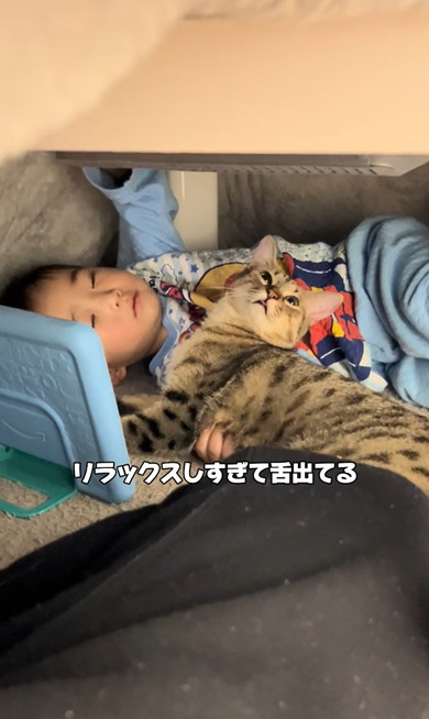 3歳息子から離れない猫