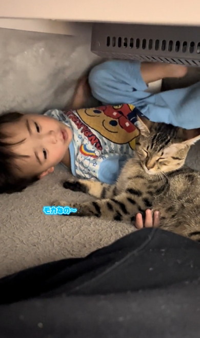 3歳息子から離れない猫