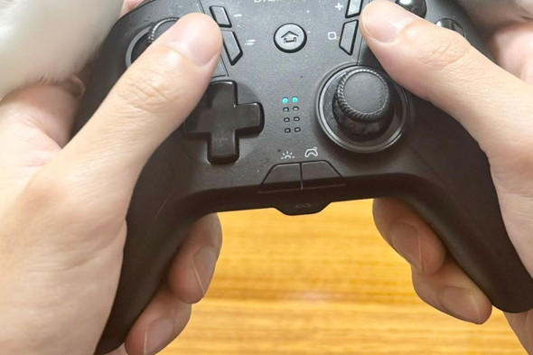 ゲームプレイ中人の手