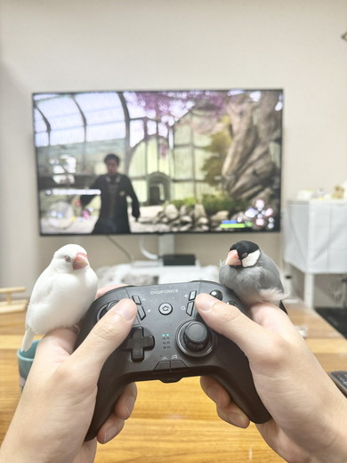 ゲームプレイ中人の手