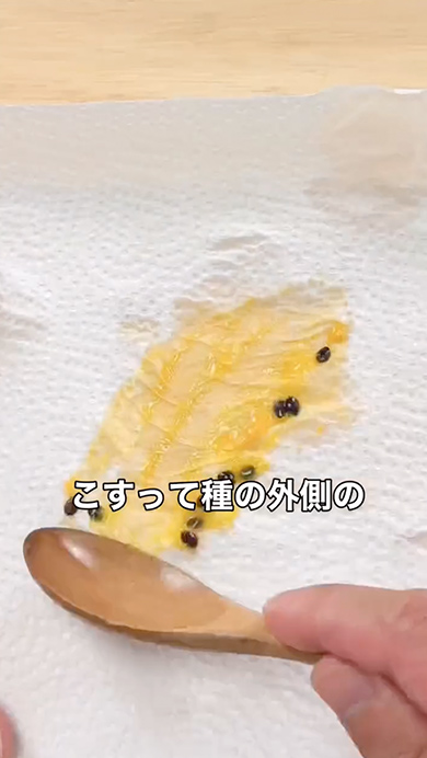 パッションフルーツを1年で収穫する方法