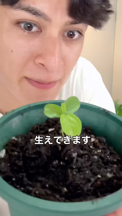 パッションフルーツを1年で収穫する方法