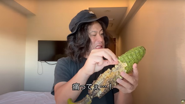 痛いけどうまい毒があるフルーツを食べてみた