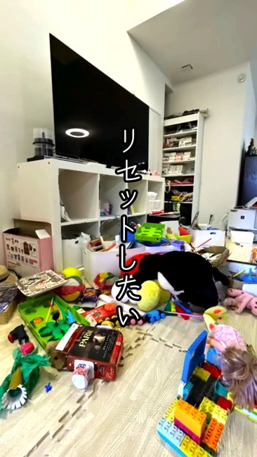 物であふれかえった家をプロが片付け