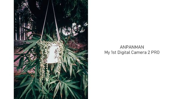 「アンデジ2 PRO」で撮影した植物の写真