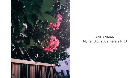 「アンデジ2 PRO」で撮影した植物の写真