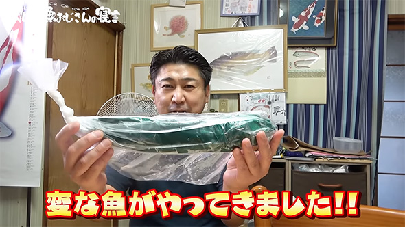 変な魚が