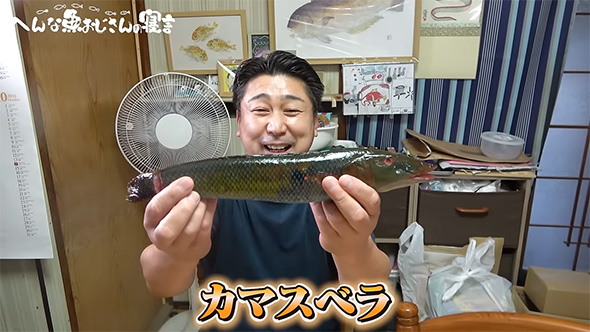 カマスベラ