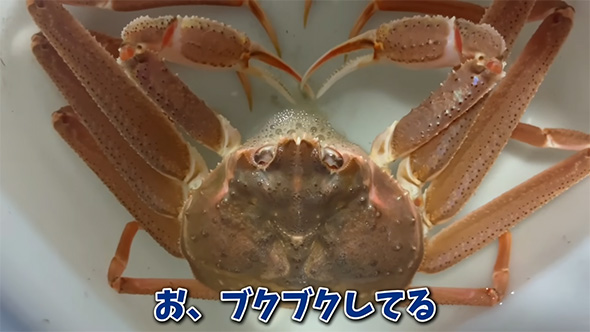 ブクブクしてる