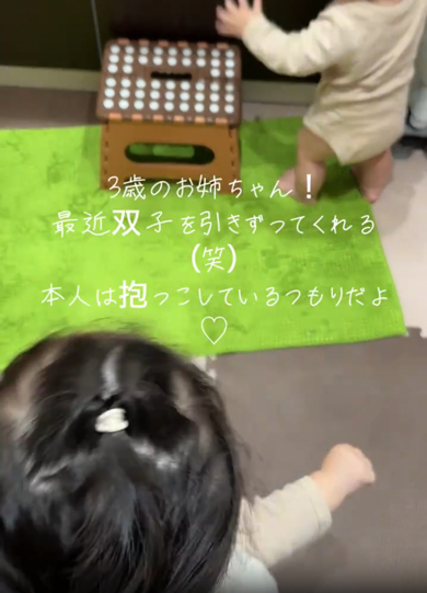 ゆっくり双子くんを運びます