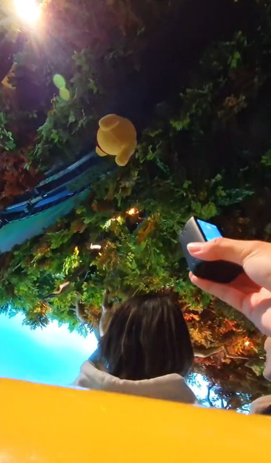 1歳娘の視点から見たディズニーランド