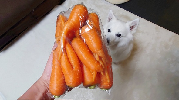 袋詰めになっている規格外のニンジン