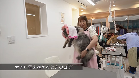 大きい猫を抱えるときの