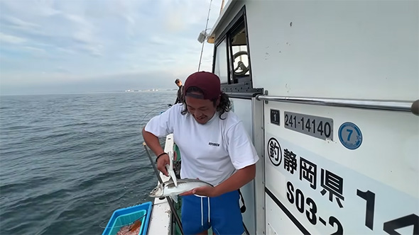 巨大なアジをはさむ