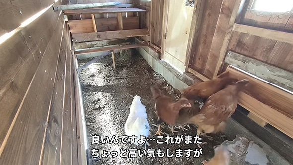 良いんですよこれがまた