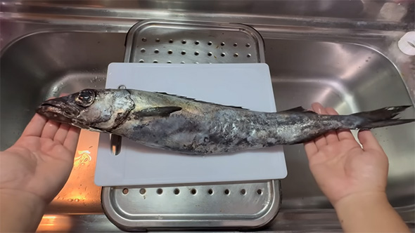 まな板の上のクロシビカマス