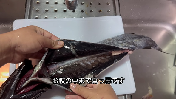 おなかの中まで真っ黒