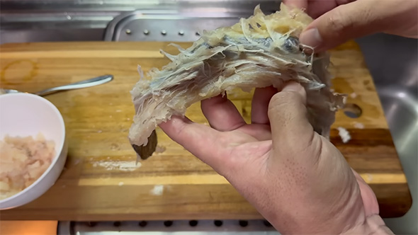 皮から骨が出ている様子