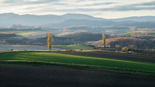 たった4日で秋から冬になった美瑛町