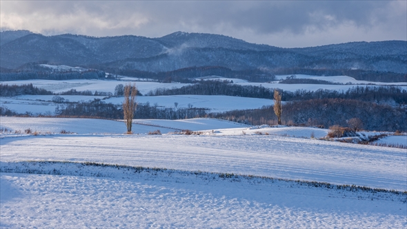 たった4日で秋から冬になった美瑛町