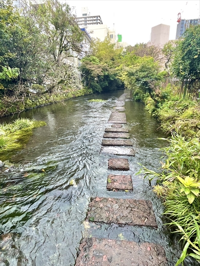 Googleマップが示したまさかのルート