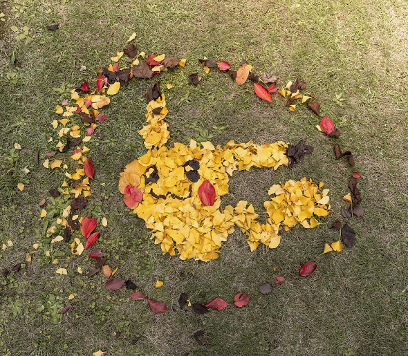 子どもと一緒に落ち葉を集めて作ったピカチュウ