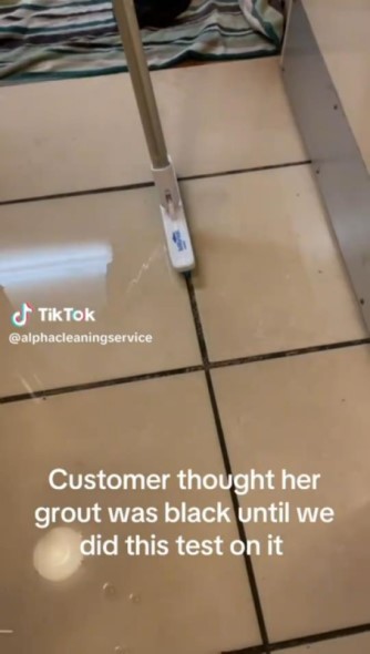 タイルの黒いラインを掃除