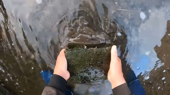 ツガニ捕りの最中に発見したブロックを動かす投稿者の父親