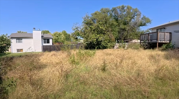 モサモサの庭の手入れ