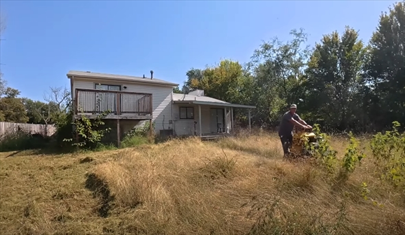 モサモサの庭の手入れ