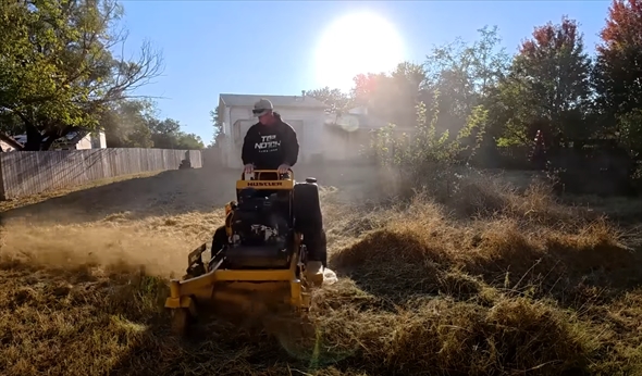 モサモサの庭の手入れ