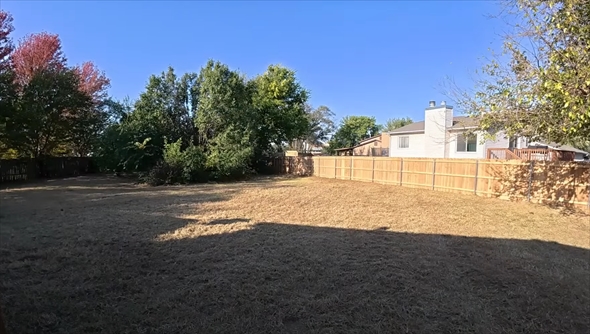 モサモサの庭の手入れ