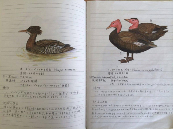 14歳の自由研究ノート絶滅危惧種176種