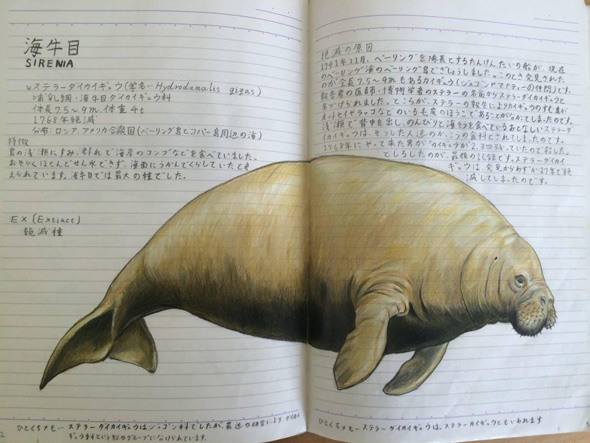 14歳の自由研究ノート絶滅危惧種176種