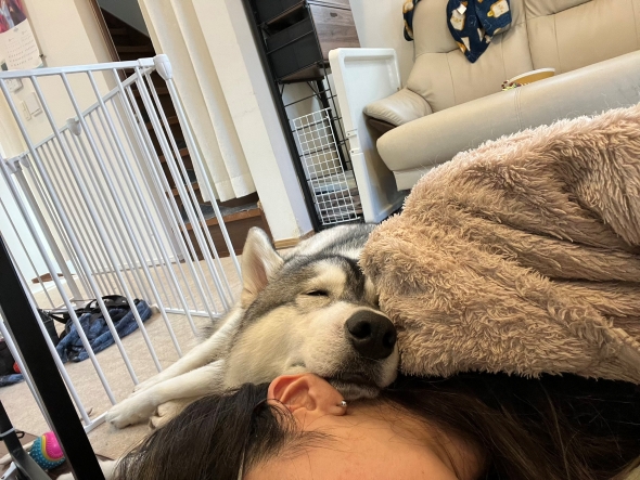 首の重さの原因