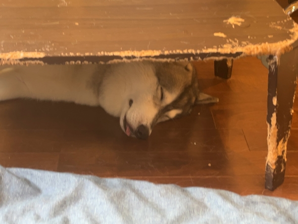 首の重さの原因