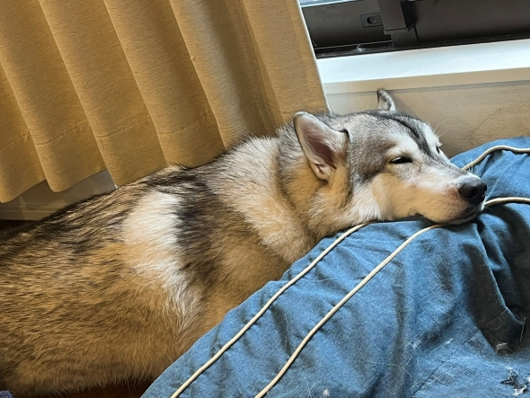 首の重さの原因