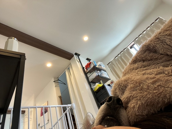 首の重さの原因