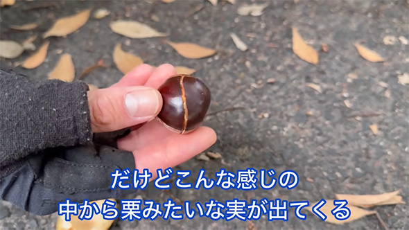 だけどこんな感じの